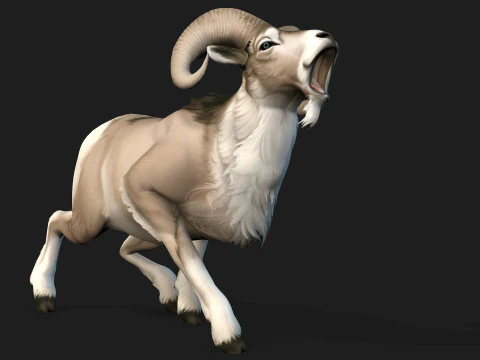 Goat-B3 3D Model