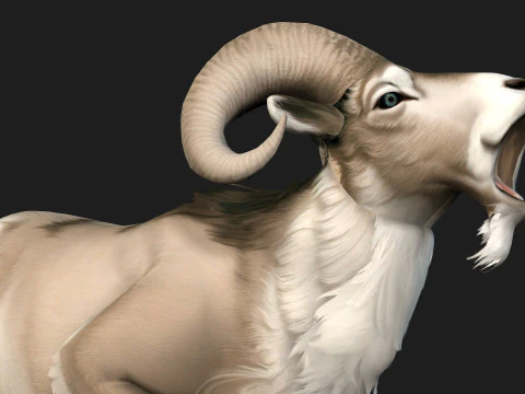 Goat-B3 3D Model