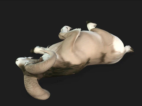Goat-B3 3D Model