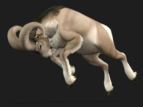 Goat-B3 3D Model