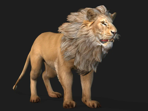 Lion-A1 3D Model