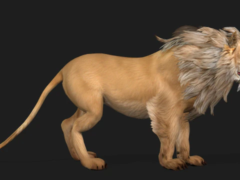 Lion-A1 3D Model