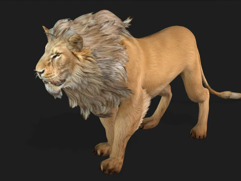 Lion-A1 3D Model