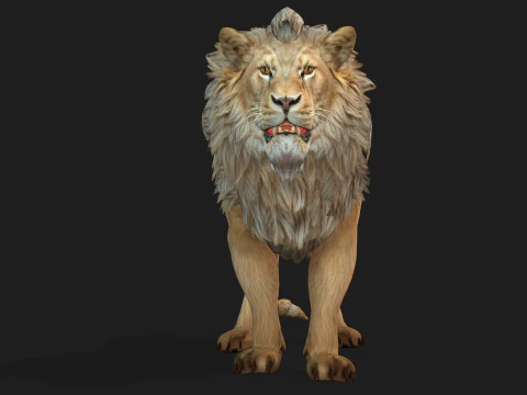 Lion-A1 3D Model