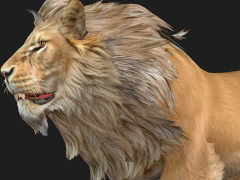 Lion-A1 3D Model