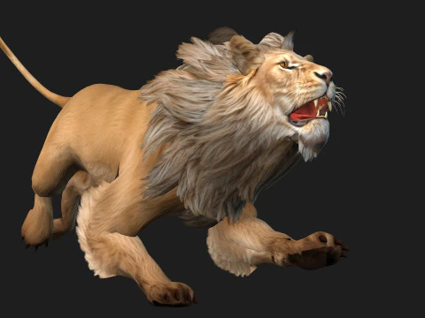 Lion-A1 3D Model