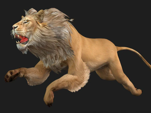 Lion-A1 3D Model