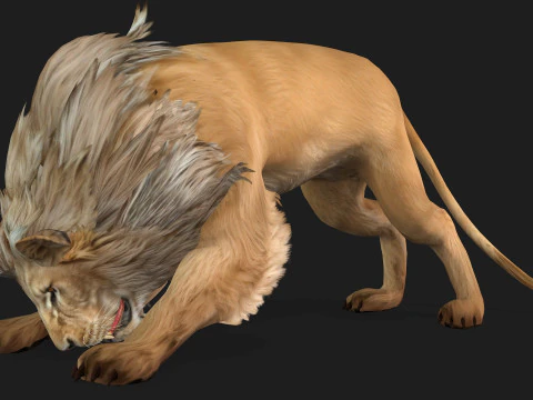 Lion-A1 3D Model