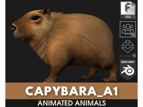 कैपीबारा-ए1 3D मॉडल