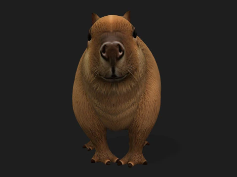 Capibara-A1 Modello 3D