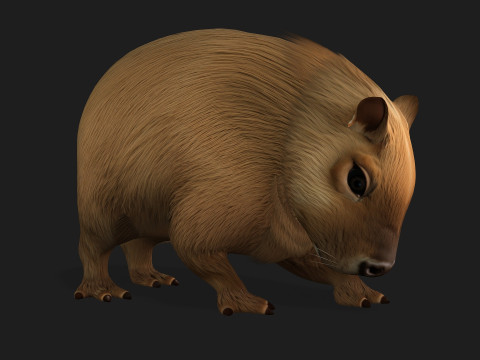 Capybara-A1 3D Model