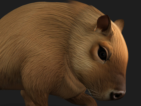 Capybara-A1 3D Model