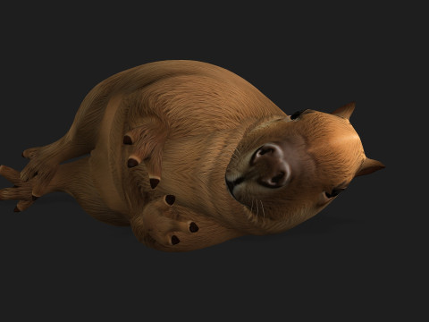 Capybara-A1 3D Model