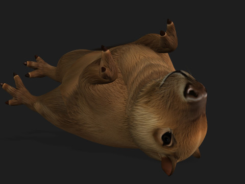 Capybara-A1 3D Model