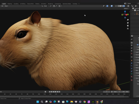 Capybara-A1 3D Model