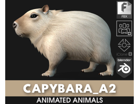 कैपीबारा-ए2 3D मॉडल