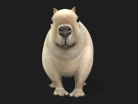 Capibara-A2 Modello 3D