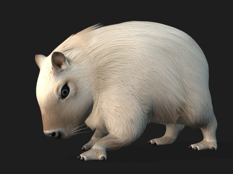 Capybara-A2 3D Model