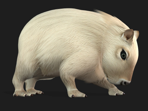 Capybara-A2 3D Model