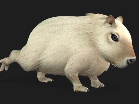 Capibara-A2 Modello 3D