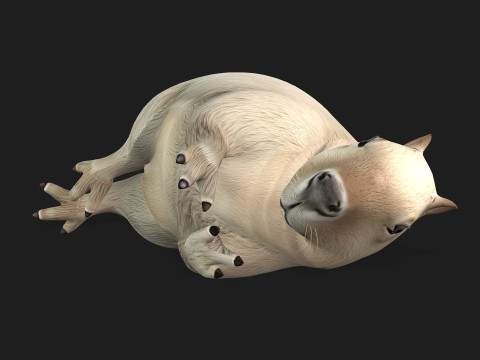 Capybara-A2 3D Model