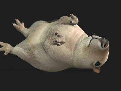 Capibara-A2 Modello 3D