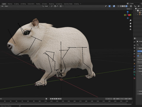 Capybara-A2 3D Model
