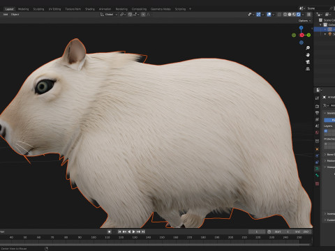 Capybara-A2 3D Model