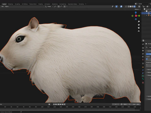 Capibara-A2 Modello 3D