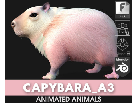 कैपीबारा-ए3 3D मॉडल