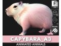 Capybara-A3 Modelo 3D