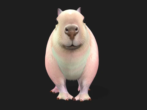 Capybara-A3 3D Model