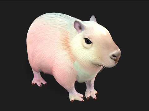 Capybara-A3 3D Model