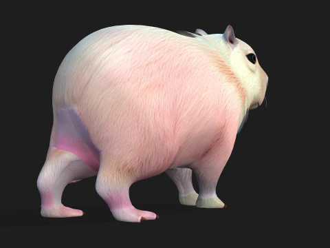 Capybara-A3 3D Model