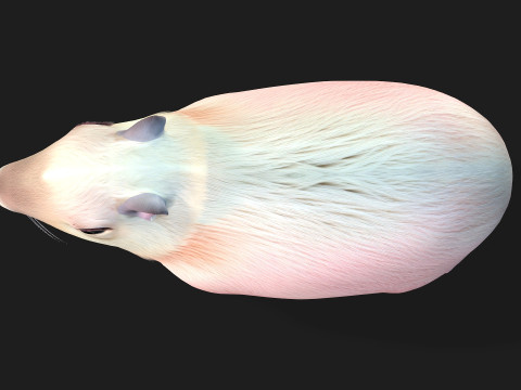 Capybara-A3 3D Modell