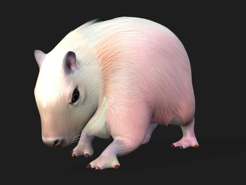 Capybara-A3 3D Modell
