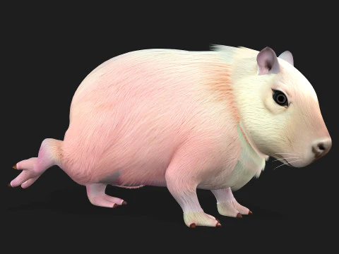 Capybara-A3 3D Model