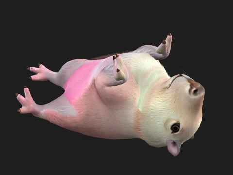 Capybara-A3 3D Model