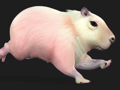 Capybara-A3 3D Model