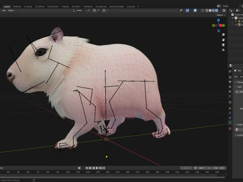 Capybara-A3 3D Model