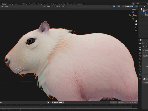 Capybara-A3 3D Model