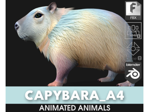 Capybara-A4 3D Modell