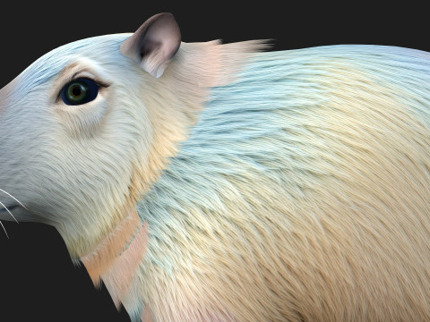 Capivara-A4 Modelo 3D