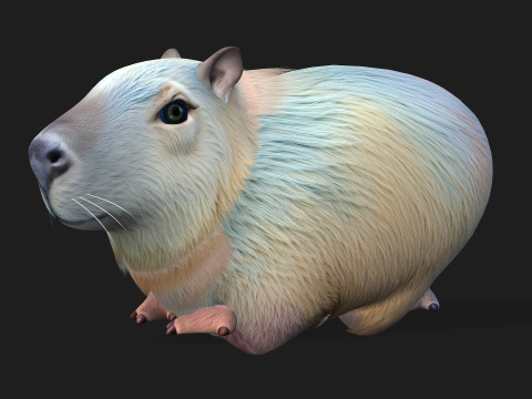 Capivara-A4 Modelo 3D