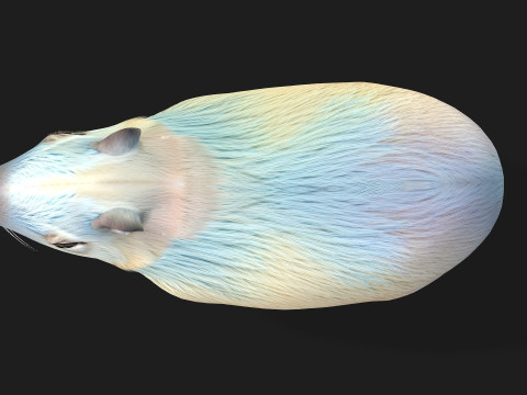 Capivara-A4 Modelo 3D