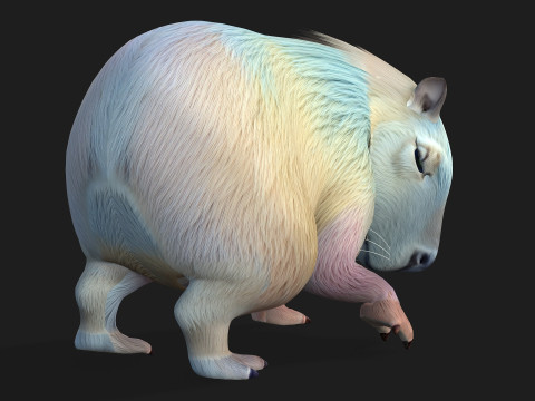 Capivara-A4 Modelo 3D