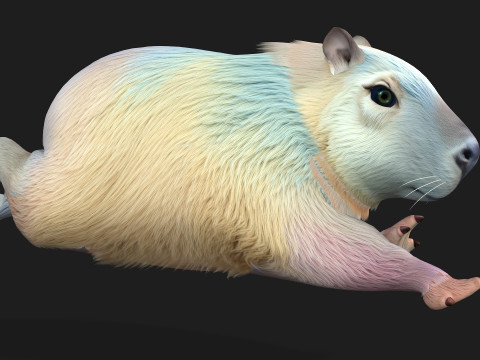 Capivara-A4 Modelo 3D