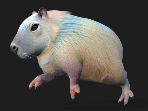Capivara-A4 Modelo 3D