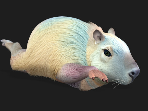 Capivara-A4 Modelo 3D