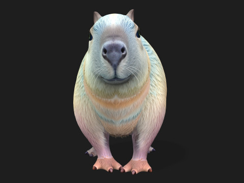 Capivara-A4 Modelo 3D